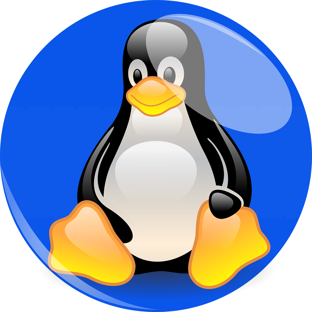 Jawaban atas Pertanyaan Umum tentang Linux